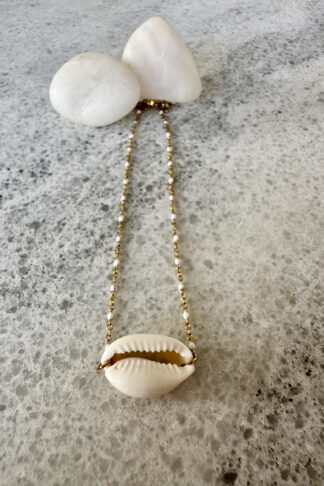 Shell Anklet