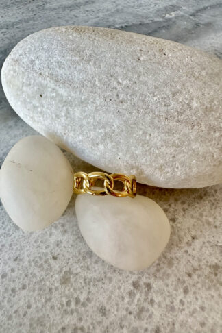 Stainless steel ring