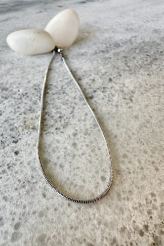 Thin snake anklet