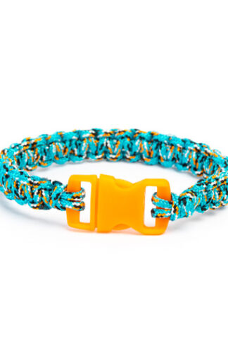 Clip bracelet